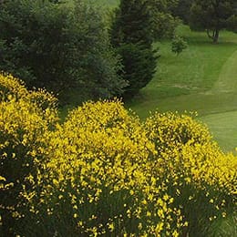 Golf de la Drôme Provençale