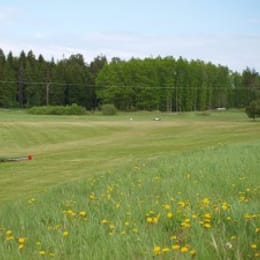 Waldemarsviks Golfklubb (Pay&Play)