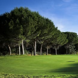 Is Arenas Golf Lodging & Beach