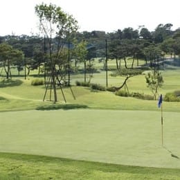 Daegu Country Club (Par 3)