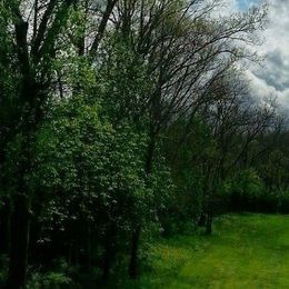 University Club of Kentucky (Wildcat)