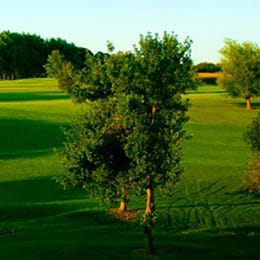 Oak Summit Golf Course