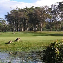 Woolgoolga Golf Club
