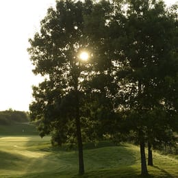 Golf UP Pitch & Putt