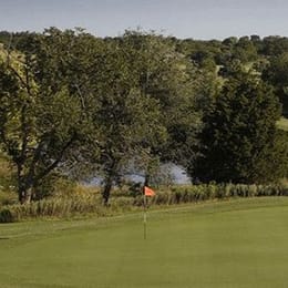 Buffalo Rock Golf & Gun