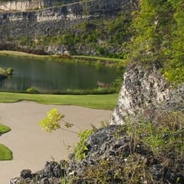 Sandy Lane Resort (The Green Monkey)