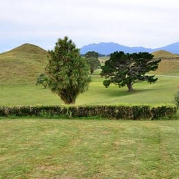 Pungarehu Golf Club
