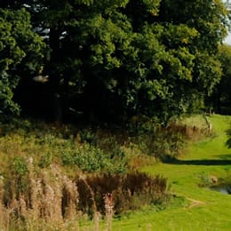 Strathmore Golf Centre (Leitfie Links)