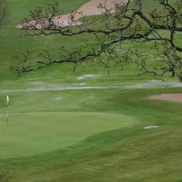 Master Golf Club (Forest)