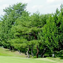 Mikanohara Country Club (Kamo)