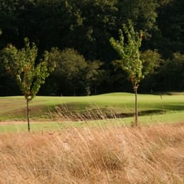 Golf de Loudun-Fontevraud (Pitch & Putt)
