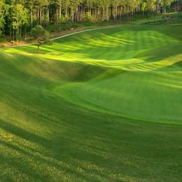 Reynolds Lake Oconee (The Creek)