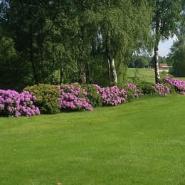 Golfclub Thülsfelder Talsperre (9)