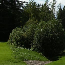 Petitcodiac Valley Golf & Country Club