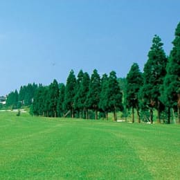 Menard Country Club Aoyama