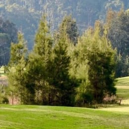 Crackajack Par 3 at The Moorings Golf Complex