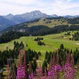 Golf Morzine Avoriaz