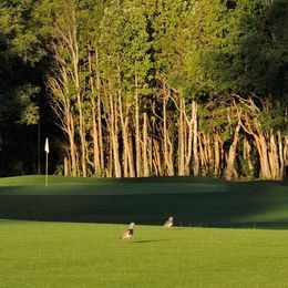 Nevados de Villarrica Golf
