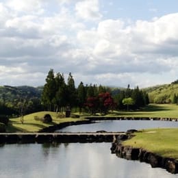 JOYX Golf Club Kouzuki