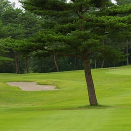 Osaki Golf Club Sanbongi
