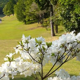 Izu Skyline Country Club