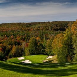 Treetops Resort (Premier)