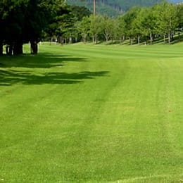 Fuji Country Club Saga