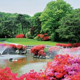 New Korea Country Club