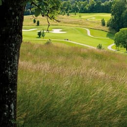 Golf Saint Apollinaire (Tree Garden)