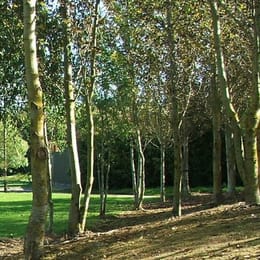 Julianstown Golf and Pitch & Putt