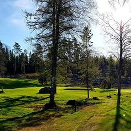 Loimijoki Golf