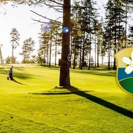 Virpiniemi Golf