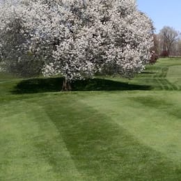 Maple Lane Golf Club (East)