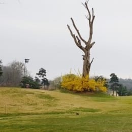 Anesville Country Club