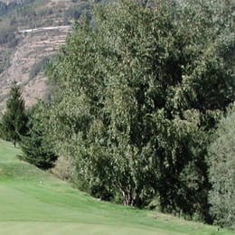 Golf Club Aosta Arsanières
