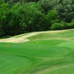 Forest Hills Country Club (The Valley)