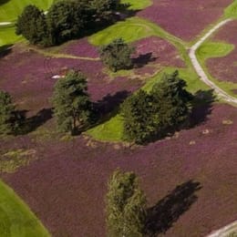 Royal Limburg Golf - Koninklijke Limburgse Golf