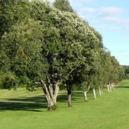 Cambuslang Golf Club