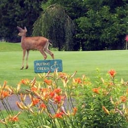 Meadowlands Golf & Country Club