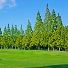 Whitin Style Golf Club