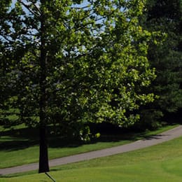 Whitmoor Country Club (North)