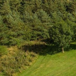 makker Tempel Mikroprocessor Golf Courses in North Denmark Region | Hole19