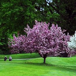 Petoskey - Bay View Country Club