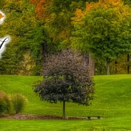 Beechwood Golf Course