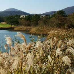 The Classic Country Club