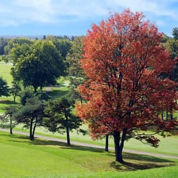 Brockville Country Club