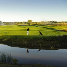 Los Canales De Plottier