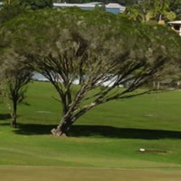 Kyogle Golf Club