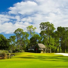 Fiddlesticks Country Club (Loch Ness)