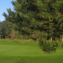 Swaffham Golf Club